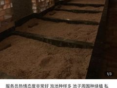 -大连金石滩绿发温泉假日酒店
