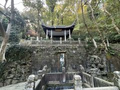 -镇江市南山风景名胜区竹林景区