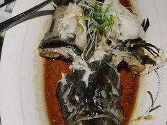 清蒸青斑鱼-鑫悦楼煎蟹·16年海鲜大排档
