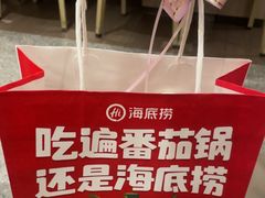 -海底捞火锅(巴黎春天浦建店)