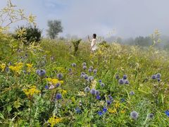 -白草畔自然风景区