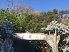 -王顺山国家森林公园