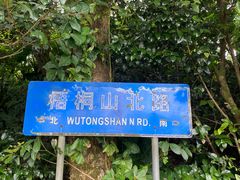 -梧桐山风景名胜区