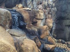 iphone_upload_pic-江门古兜温泉小镇