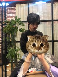 -P.STYLE 派斯造型