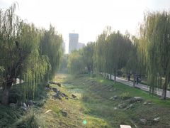-堤角公园