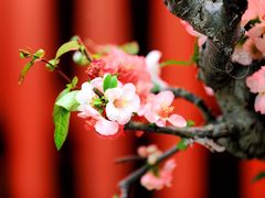 -陶然亭公园