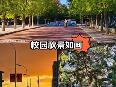 -辽宁大学(崇山校区)