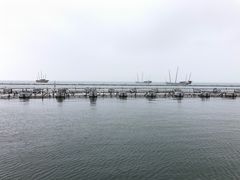 -苏州太湖国际会议中心