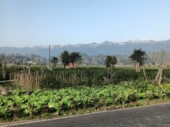 -雅安上里古镇