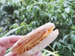 -akiamai秋甜(园艺山店)