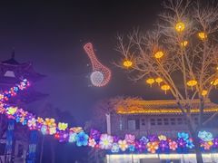 -武汉园博园(武汉自然博物馆)
