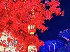 -北京欢乐谷