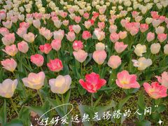 -国家植物园