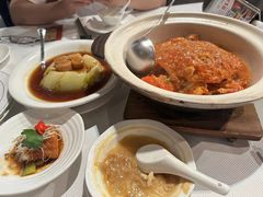 -詠春园