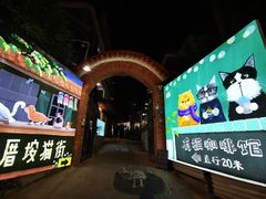 -有猫主题·治愈系猫咖(曾厝垵店)
