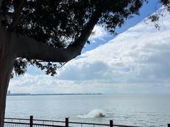 -滇池海埂公园