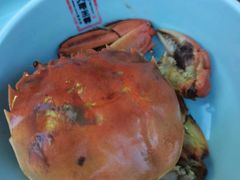 -应天大明王朝·南京菜(中山陵店)