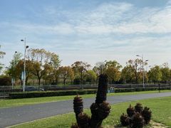 -上海月湖雕塑公园
