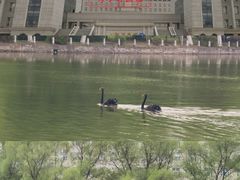 -哈尔滨师范大学(松北校区)