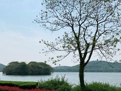 -蠡湖中央公园