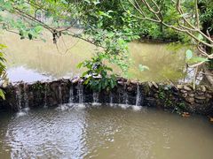-滴水岩森林公园
