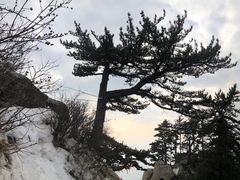 -华山风景名胜区
