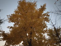 -青州市云门山风景区