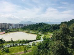 -飞凤山奥体公园