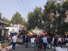 -哈尔滨道外花鸟鱼市场
