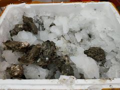 -蚝哥花姐湛江烤生蚝(美丽湾市场店)