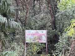 -苏州上方山国家森林公园