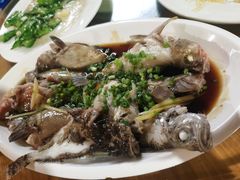 -小猫钓鱼海钓俱乐部(椰梦长廊店)