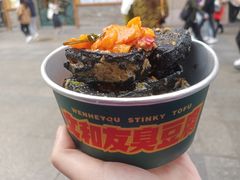 -董顺桃老长沙臭豆腐(步行街店)