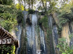 -西双版纳原始森林公园