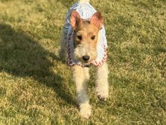 -上海神旺大酒店