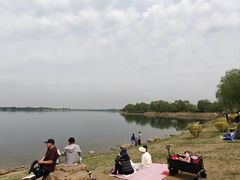 -丁香湖公园