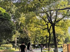 -苏州河梦清园环保主题公园