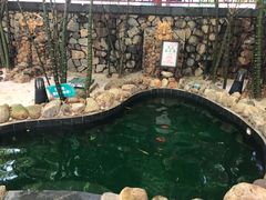 -嘉和K6温泉微度假