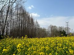 -桤木河湿地公园