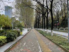 -后襄河公园