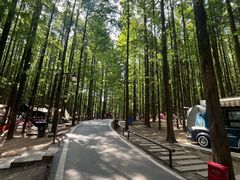 -山王坪喀斯特国家生态公园