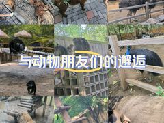-北京野生动物园