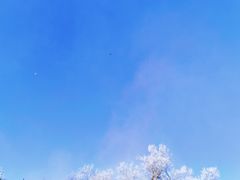 -长春净月潭风景名胜区
