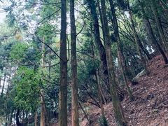 -井冈山风景名胜区