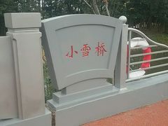 公园内-上海长兴岛郊野公园