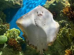-福州罗源湾海洋世界旅游区