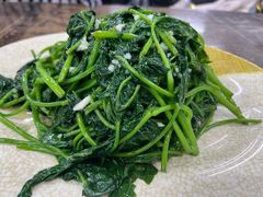 蒜蓉番薯叶-贞姨美食·老字号海鲜大排档