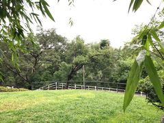 -晓港公园