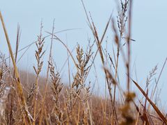 -萍乡武功山风景名胜区
